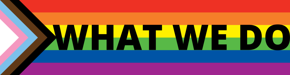 What We Do banner